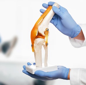 Consultas Médicas Especializadas