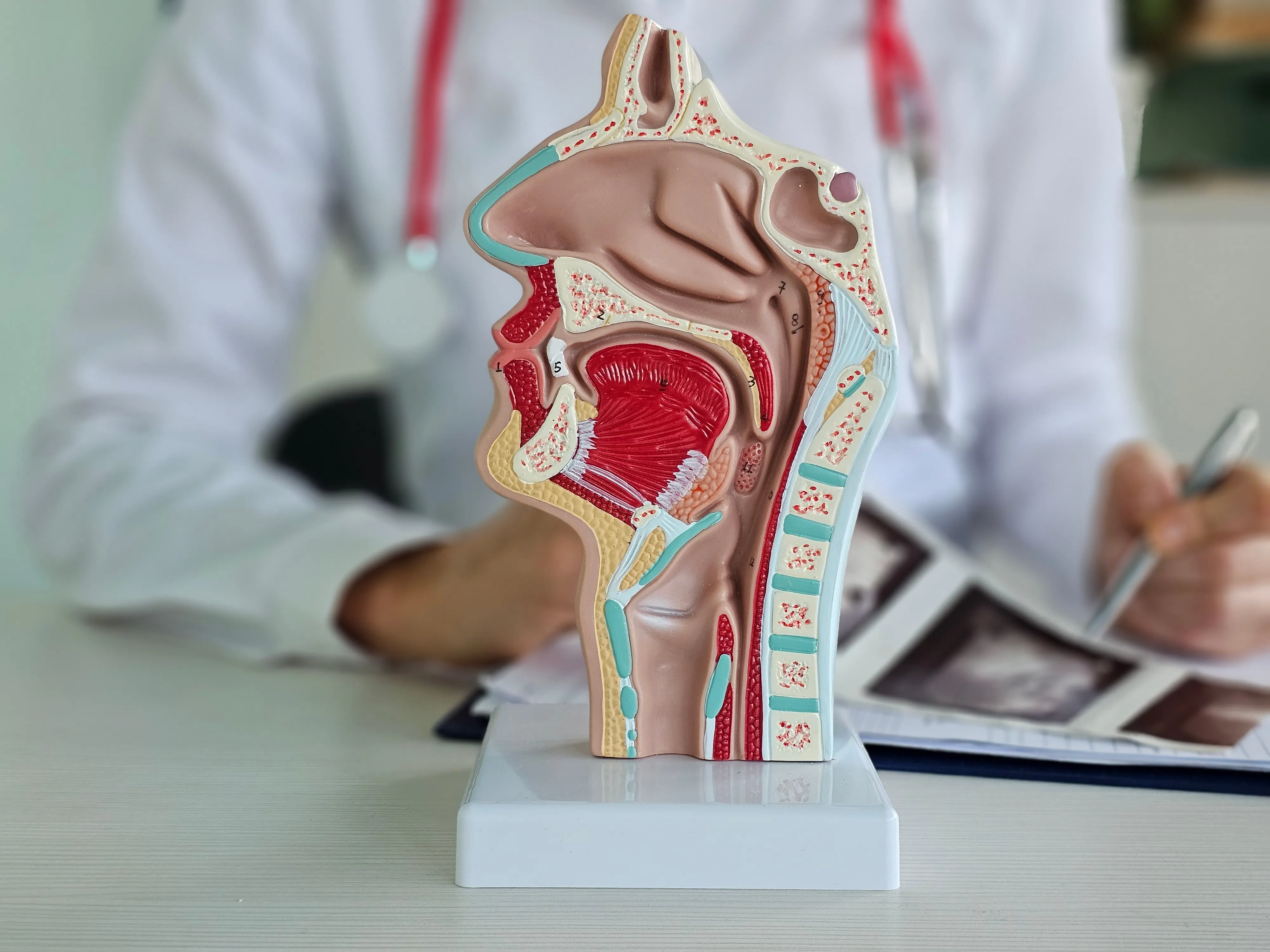 Otorrinolaringología